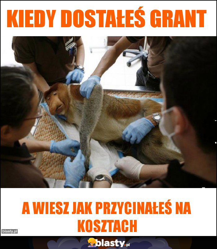 Kiedy dostałeś grant Kiedy dostałeś grant