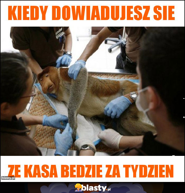 KIEDY DOWIADUJESZ SIE KIEDY DOWIADUJESZ SIE
