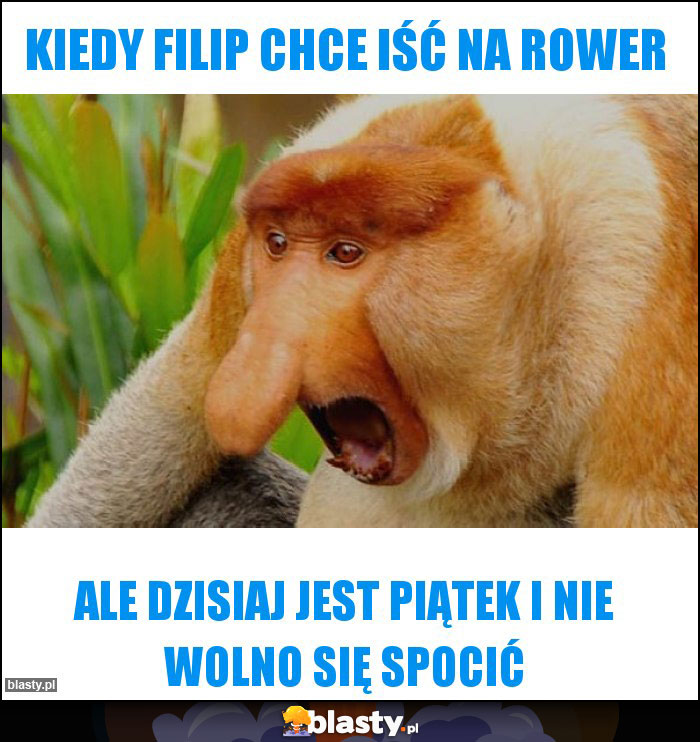 Kiedy Filip chce iść na rower Kiedy Filip chce iść na rower