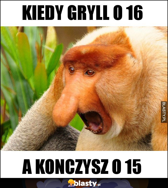 Kiedy gryll o 16 Kiedy gryll o 16