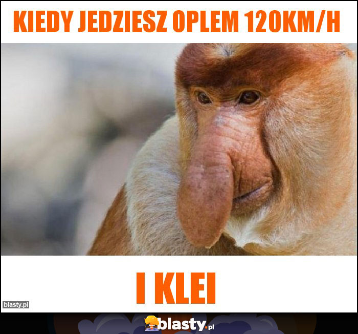 Kiedy jedziesz oplem 120km/h