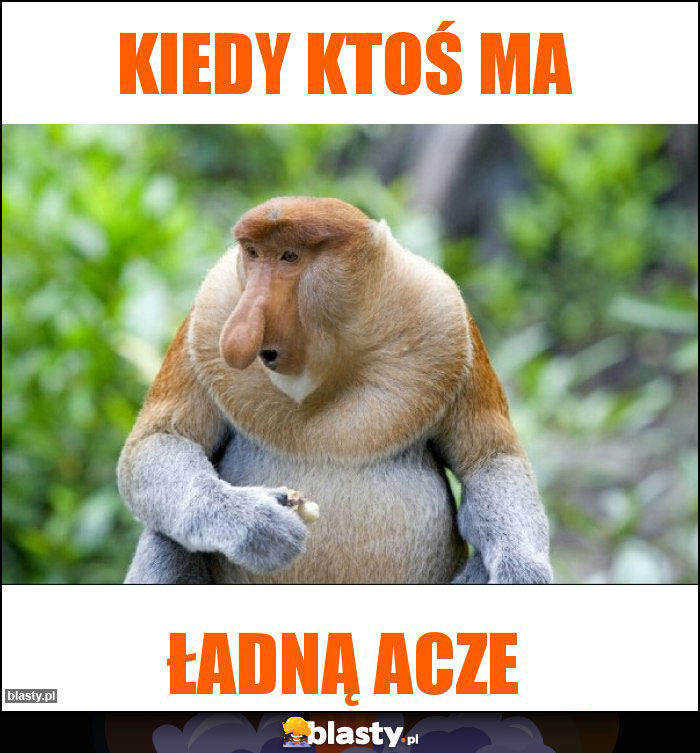 KIEDY KTOŚ MA