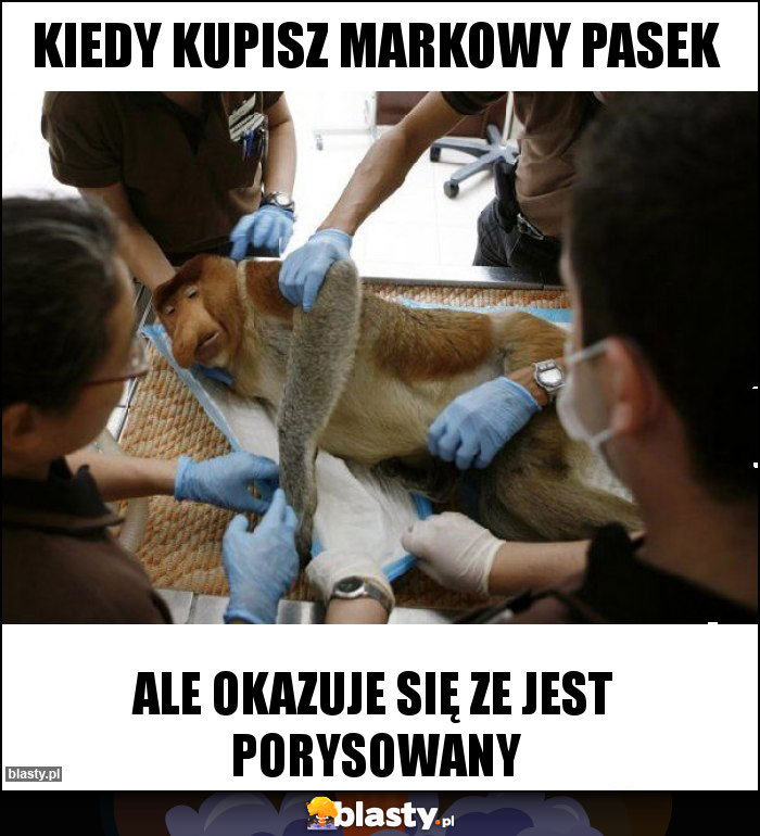Kiedy kupisz markowy pasek Kiedy kupisz markowy pasek