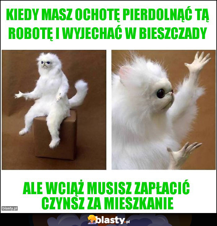 Kiedy masz ochotę pierdolnąć tą robotę i wyjechać w Bieszczady