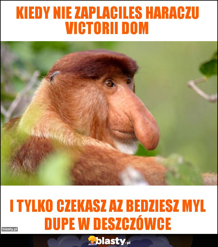 Kiedy nie zaplaciles haraczu Victorii dom Kiedy nie zaplaciles haraczu Victorii dom