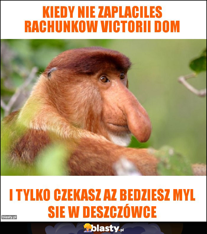 Kiedy nie zaplaciles rachunkow Victorii dom Kiedy nie zaplaciles rachunkow Victorii dom