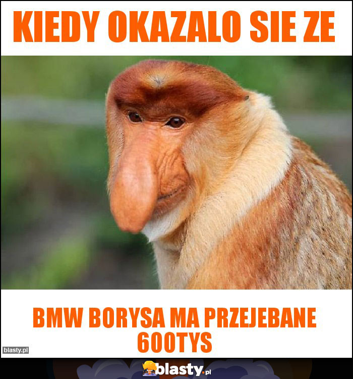 Kiedy okazalo sie ze Kiedy okazalo sie ze