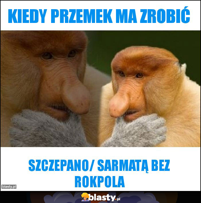 Kiedy Przemek ma zrobić Kiedy Przemek ma zrobić