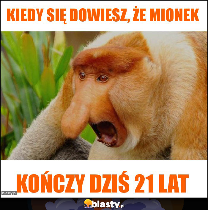 Kiedy się dowiesz, że Mionek Kiedy się dowiesz, że Mionek