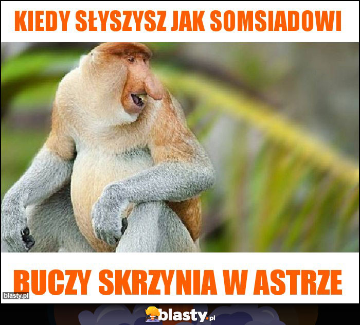 Kiedy słyszysz jak somsiadowi Kiedy słyszysz jak somsiadowi