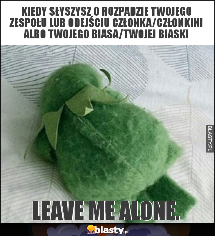 Kiedy słyszysz o rozpadzie twojego zespołu lub odejściu członka/członkini albo twojego biasa/twojej biaski Kiedy słyszysz o rozpadzie twojego zespołu lub odejściu członka/członkini albo twojego biasa/twojej biaski