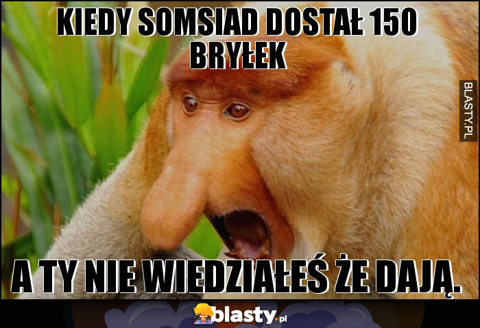 Kiedy somsiad dostał 150 bryłek Kiedy somsiad dostał 150 bryłek
