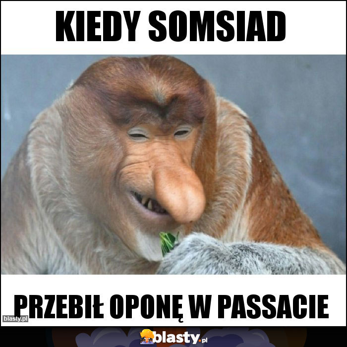 Kiedy somsiad