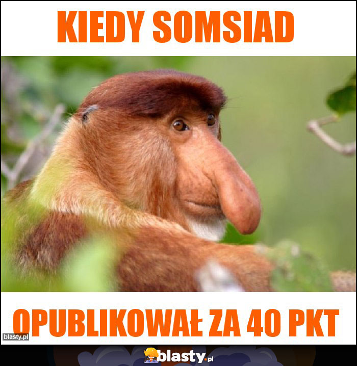 Kiedy somsiad Kiedy somsiad