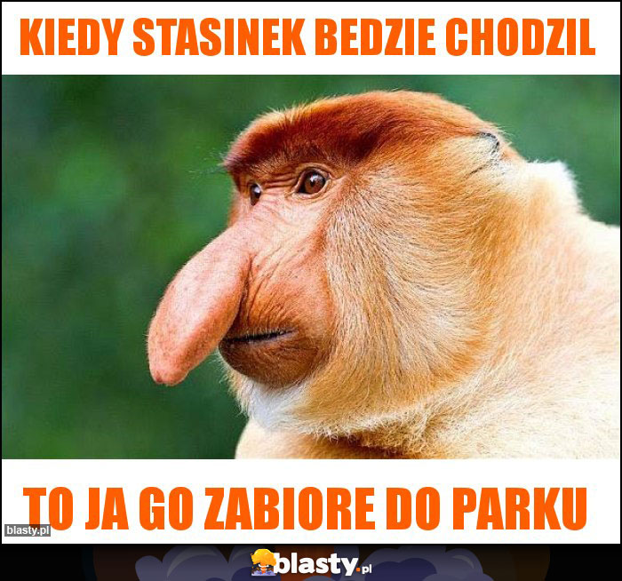 kiedy stasinek bedzie chodzil kiedy stasinek bedzie chodzil