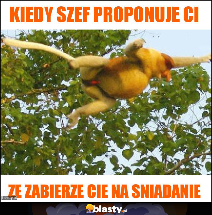 kiedy szef proponuje ci kiedy szef proponuje ci