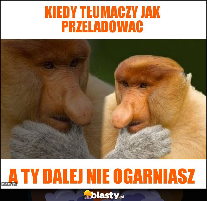 Kiedy tłumaczy jak przeladowac Kiedy tłumaczy jak przeladowac