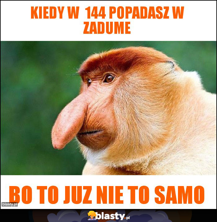 Kiedy w 144 popadasz w zadume Kiedy w 144 popadasz w zadume