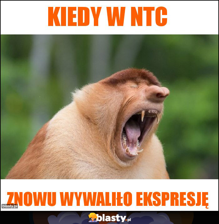 Kiedy w NTC Kiedy w NTC