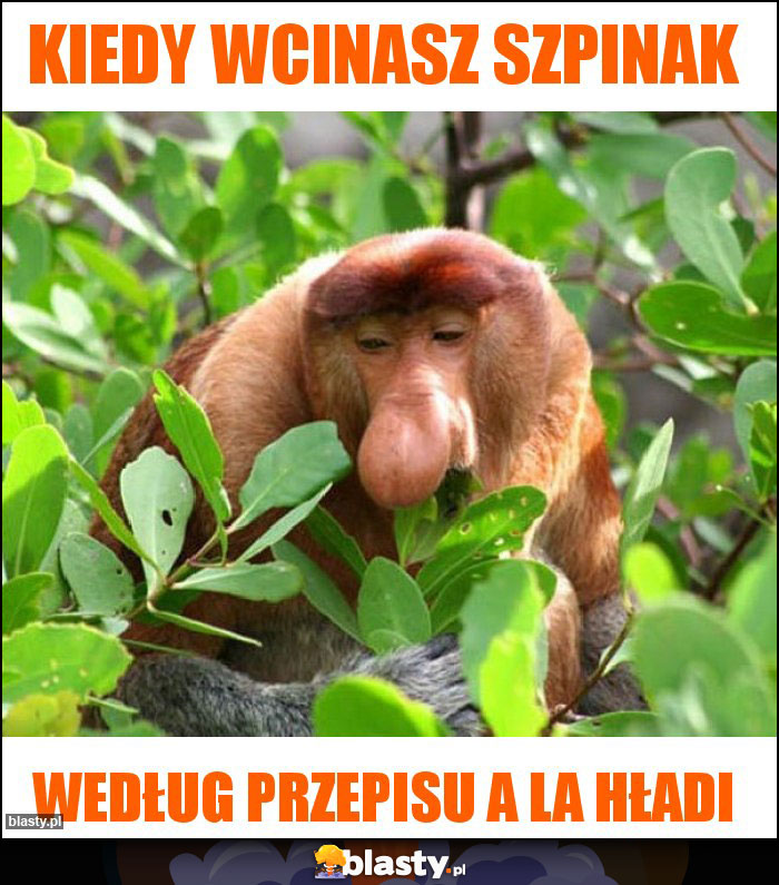 Kiedy wcinasz szpinak Kiedy wcinasz szpinak