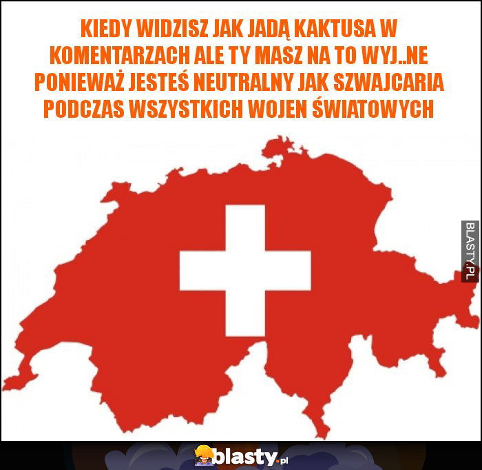 Kiedy widzisz jak jadą kaktusa w komentarzach ale Ty masz na to wyj..ne ponieważ jesteś neutralny jak Szwajcaria podczas wszystkich wojen światowych