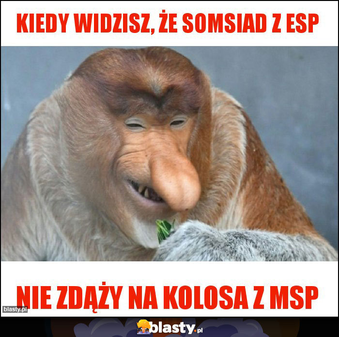 Kiedy widzisz, że somsiad z ESP Kiedy widzisz, że somsiad z ESP