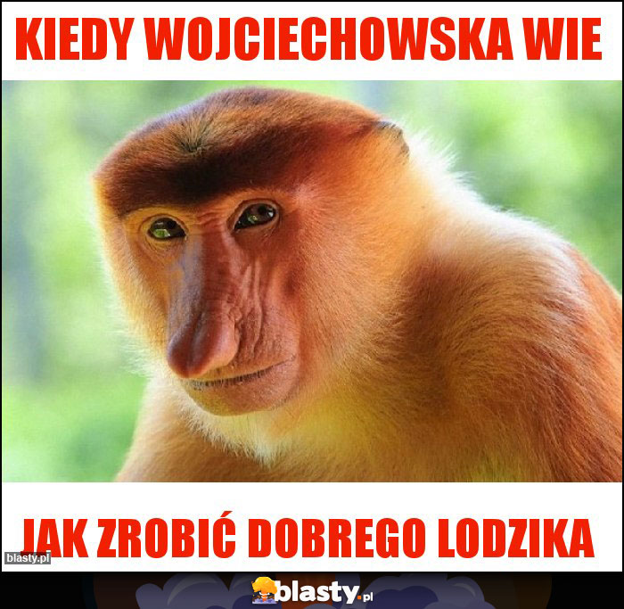 Kiedy Wojciechowska wie Kiedy Wojciechowska wie