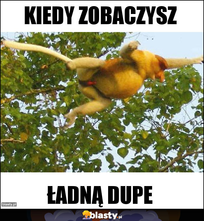 kiedy zobaczysz kiedy zobaczysz