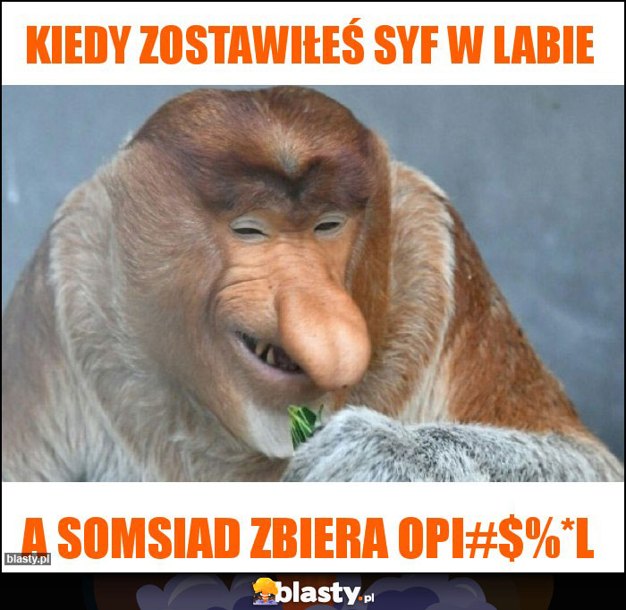 kiedy zostawiłeś syf w labie kiedy zostawiłeś syf w labie