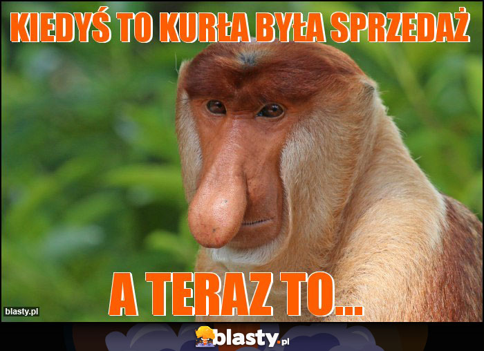 Kiedyś to kurła była sprzedaż Kiedyś to kurła była sprzedaż