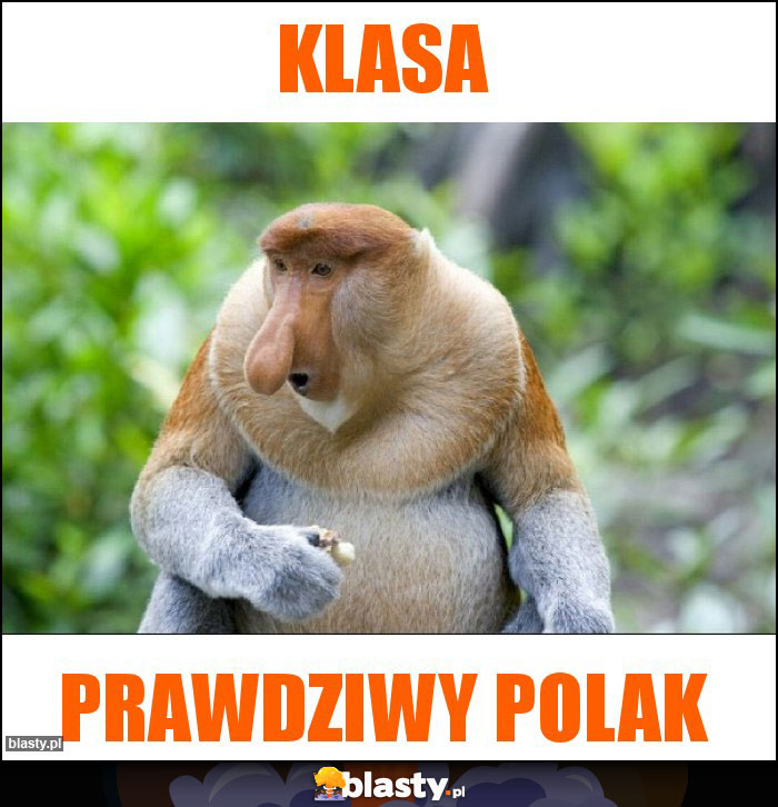 Klasa