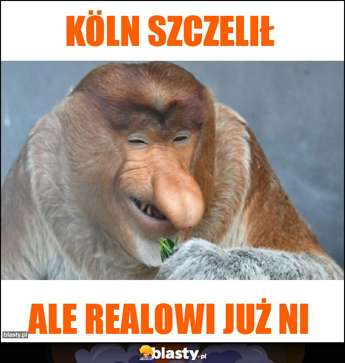 Köln szczelił Köln szczelił