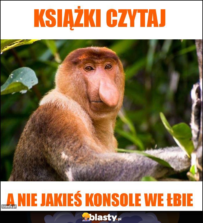 Książki czytaj Książki czytaj
