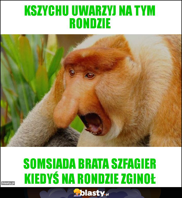 Kszychu uwarzyj na tym rondzie Kszychu uwarzyj na tym rondzie