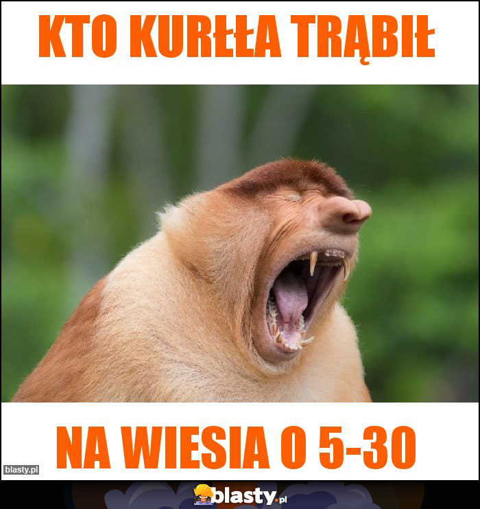 Kto kurłła trąbił Kto kurłła trąbił