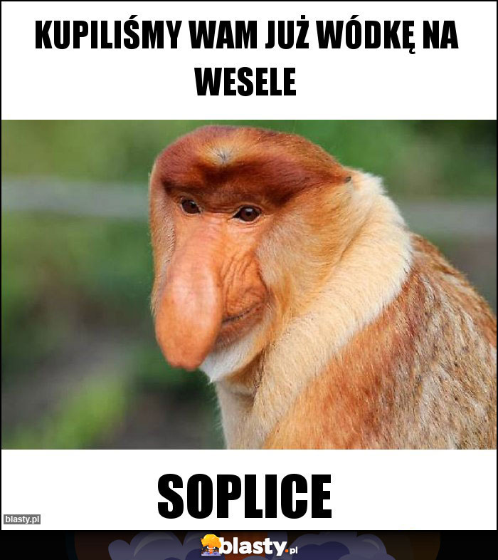 Kupiliśmy wam już wódkę na wesele Kupiliśmy wam już wódkę na wesele