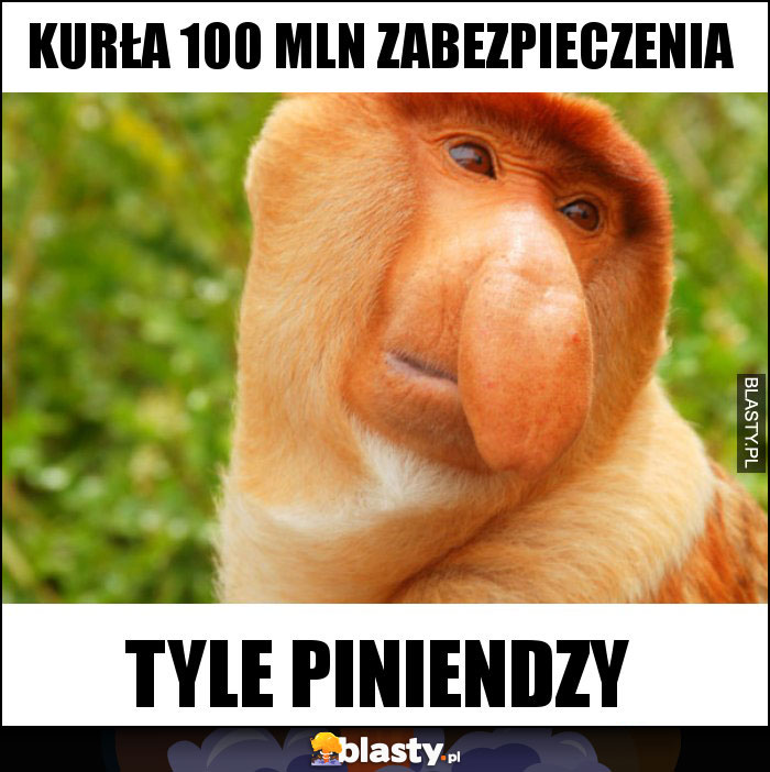 KURŁA 100 MLN ZABEZPIECZENIA