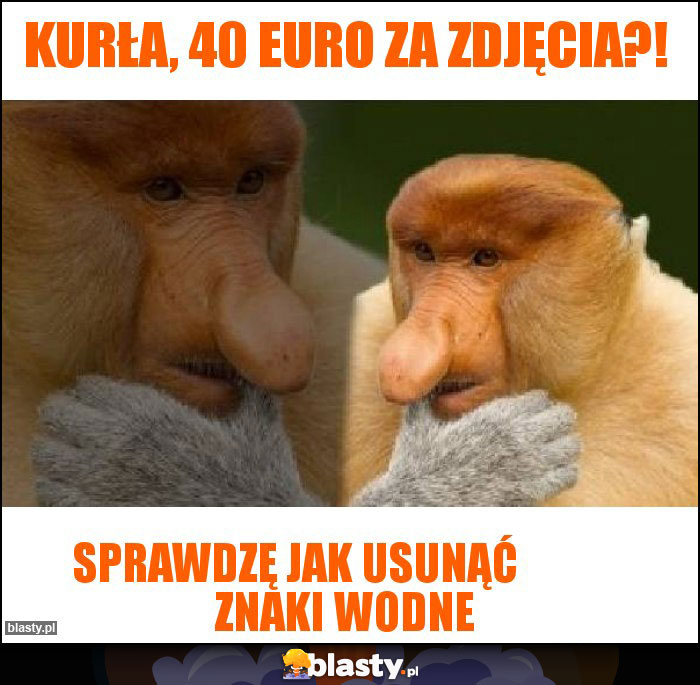 KURŁA, 40 EURO ZA ZDJĘCIA?! KURŁA, 40 EURO ZA ZDJĘCIA?!