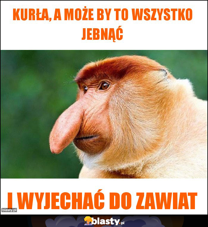 Kurła, a może by to wszystko jebnąć Kurła, a może by to wszystko jebnąć