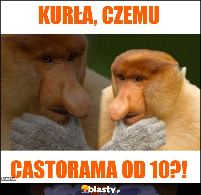 Kurła, czemu Kurła, czemu