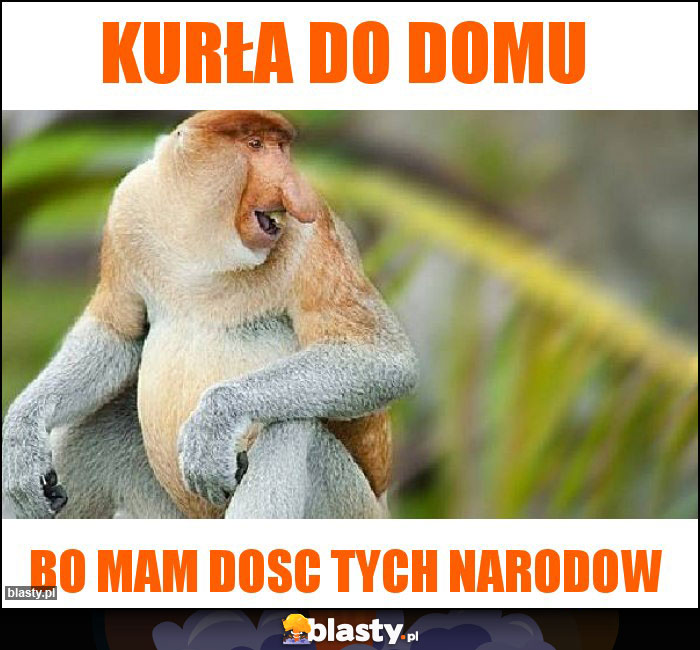 Kurła do domu Kurła do domu