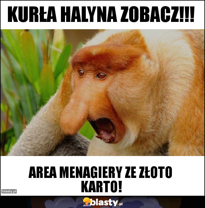 Kurła Halyna zobacz!!! Kurła Halyna zobacz!!!
