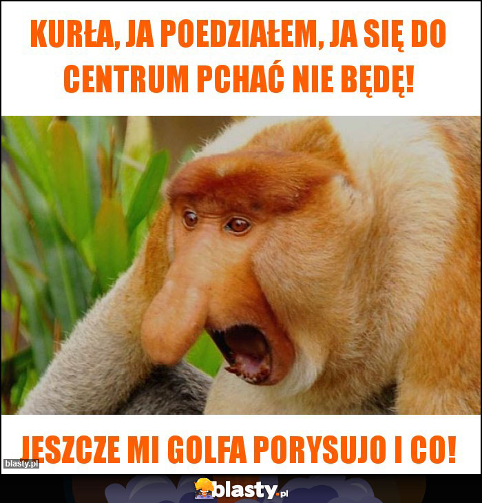 kurła, ja poedziałem, ja się do centrum pchać nie będę! kurła, ja poedziałem, ja się do centrum pchać nie będę!