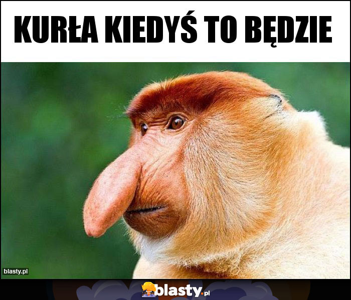 Kurła kiedyś to będzie Kurła kiedyś to będzie