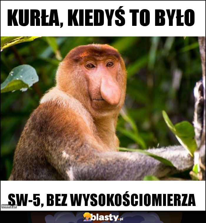 Kurła, kiedyś to było Kurła, kiedyś to było