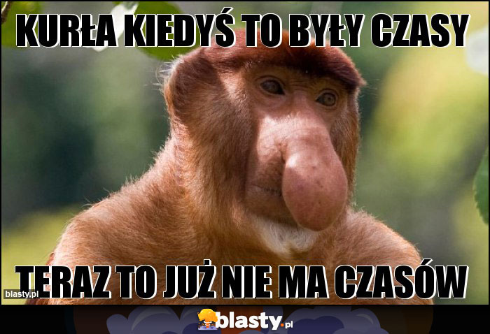 Kurła kiedyś to były czasy Kurła kiedyś to były czasy
