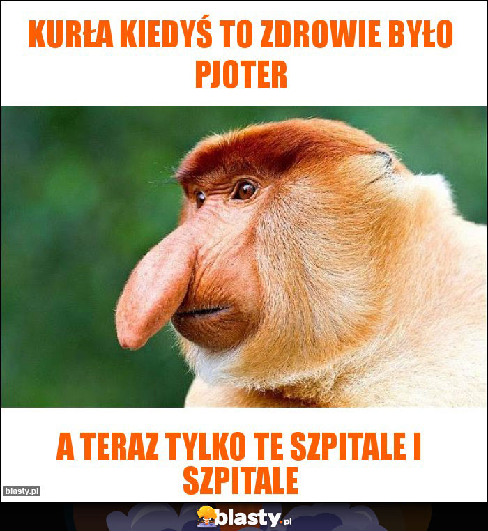 Kurła kiedyś to zdrowie było Pjoter Kurła kiedyś to zdrowie było Pjoter