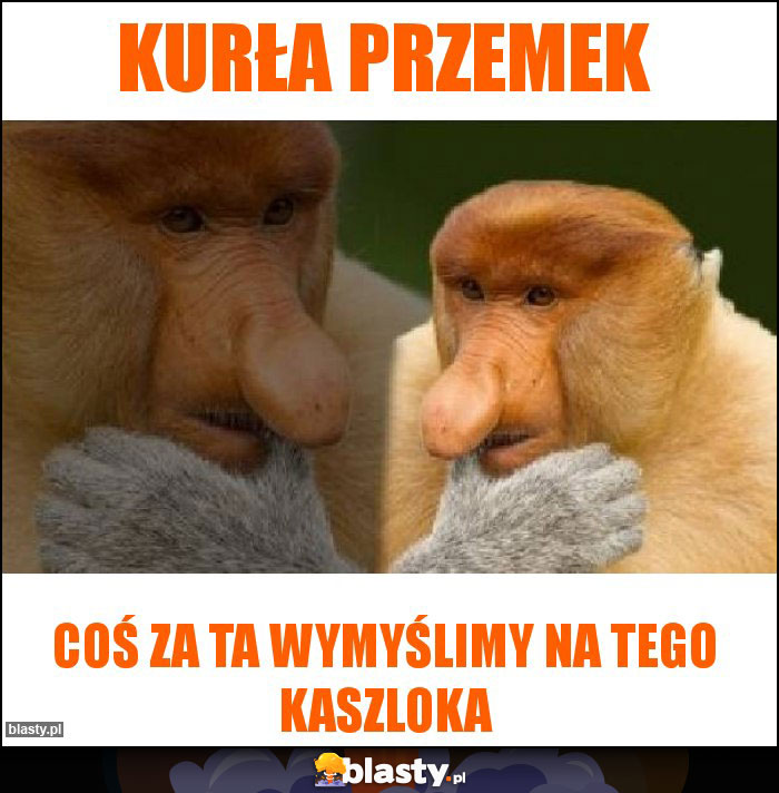 Kurła przemek Kurła przemek