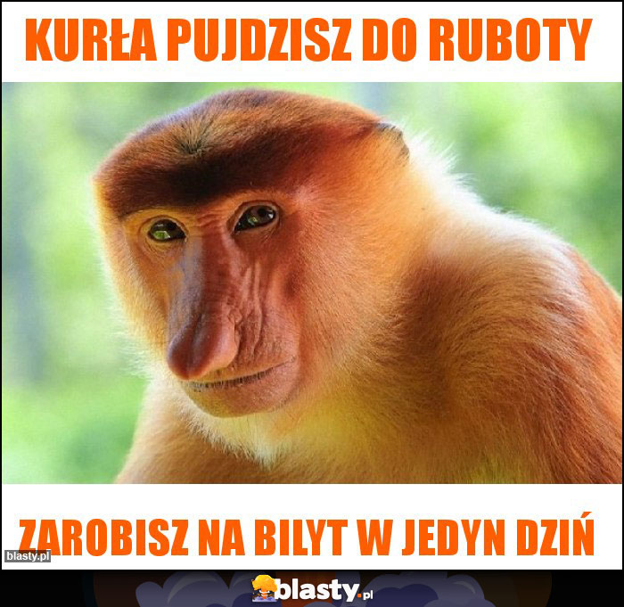 kurła pujdzisz do ruboty kurła pujdzisz do ruboty
