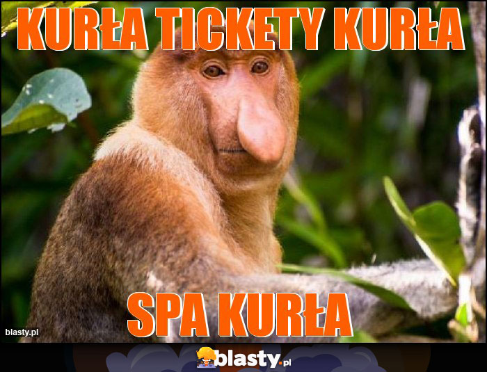 Kurła tickety kurła Kurła tickety kurła